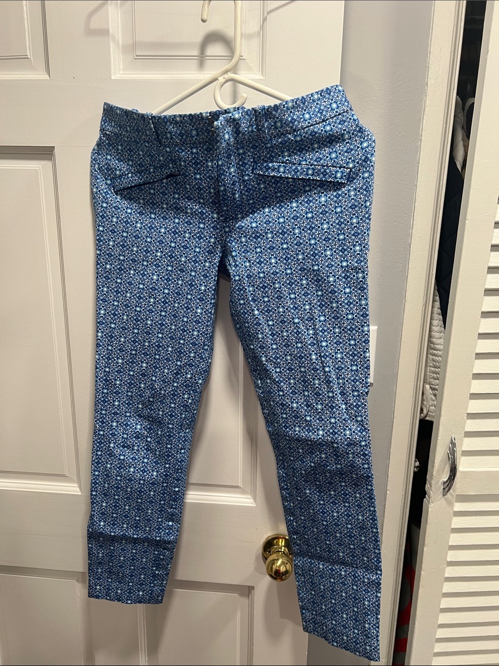 GAP Blue Patterned Ankle Crop Jeans